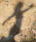 Schatten einer T�nzerin
